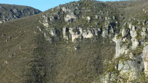 Le Gîte des Vautours