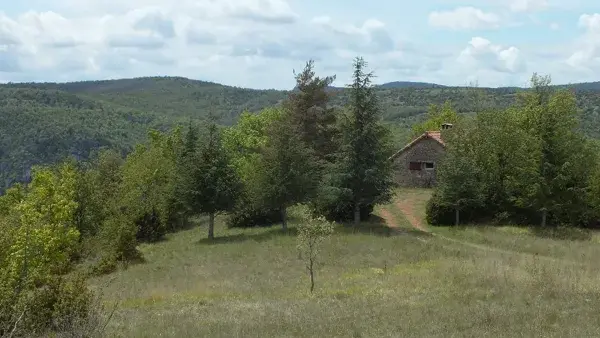 Le Gîte des Vautours