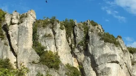 Le Gîte des Vautours