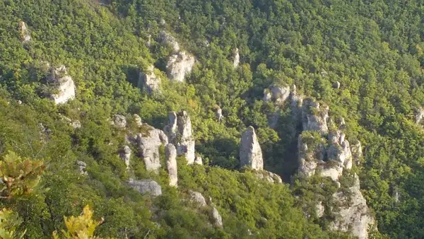 Le Gîte des Vautours