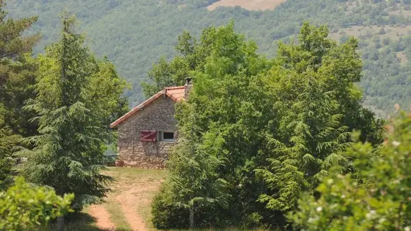 Le Gîte des Vautours