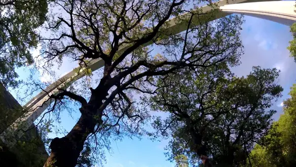 Profiter du viaduc sous un autre angle en VTC sur la voie verte !