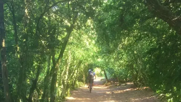 En VTT dans la buissière de Potensac sur le Larzac