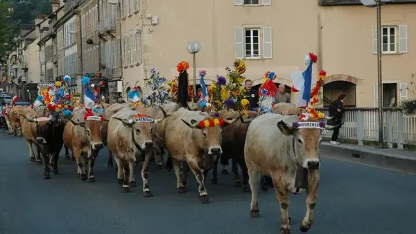 La transhumance - passage d'un troupeau à Espalion