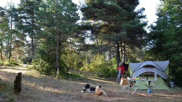 ECO-CAMPING DU LARZAC, emplacement