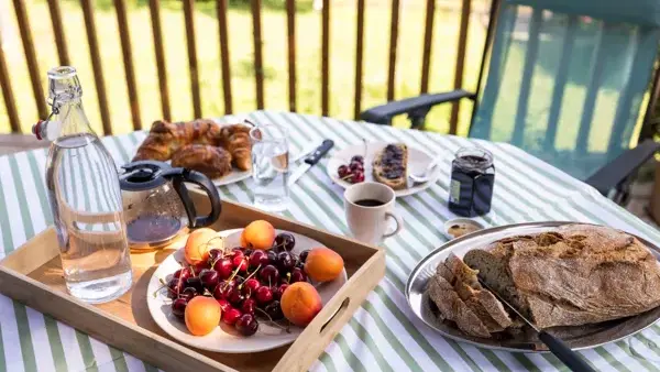 Terrasse avec vue sur le Lot, Chalet du Bastié 12 140 Entraygues sur Truyère