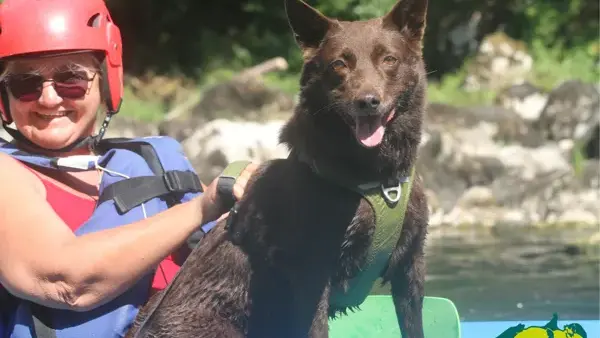 Canoë avec ton chien