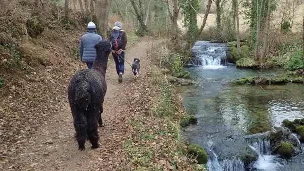 Les Zalpagas autour de Millau avec un chien