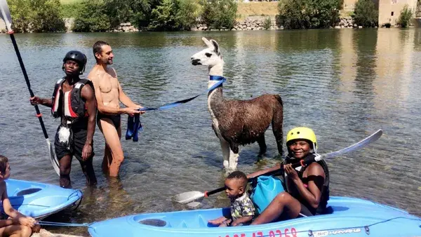 Lamas du Soleil, rencontre entre kayakistes et lama en baignade