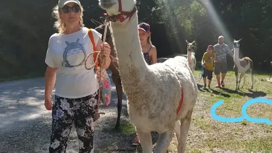 Lamas du Soleil, 4 lamas en randonnée