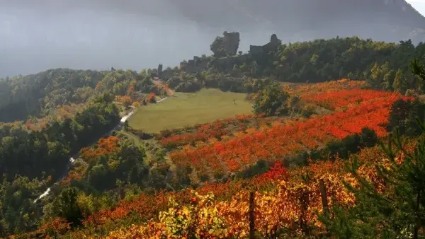 Château de Peyrelade