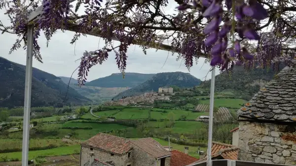 Vue de la terrasse