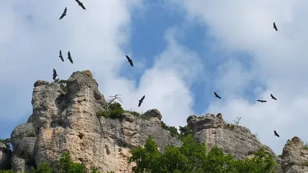 A PROXIMITÉ DU GITE