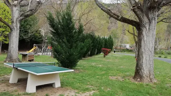 Table de Ping Pong