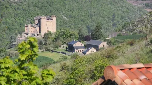 Château et Gîte de Cabrières