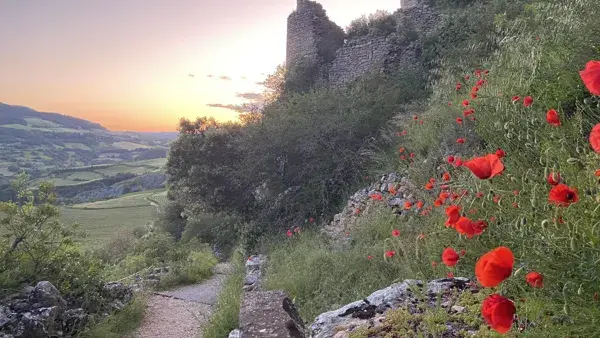 Gîtes Lo Roc - Les Calades