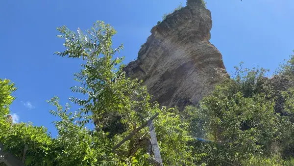 Gîtes Lo Roc - Les Glycines