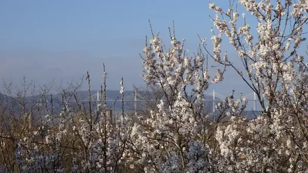 Les Amandiers - Millau - Aveyron