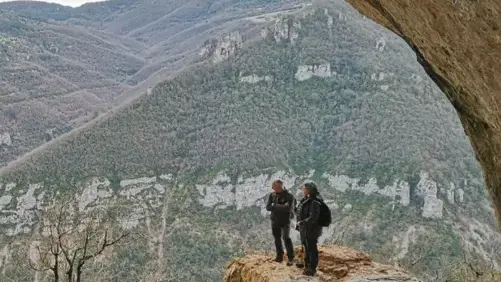 Les Amandiers - Millau - Aveyron