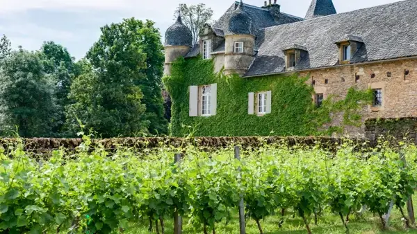 Château de Labro - Salle de réception