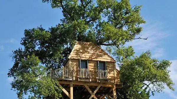 Cabane dans un arbre