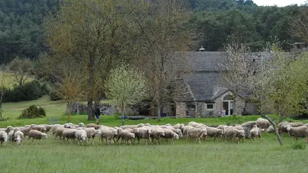 Ferme Auberge de La Tindelle