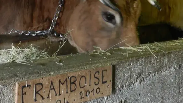 Ferme Pédagogique et d'Animation de Prignolles