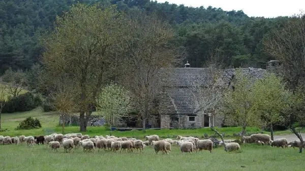 Ferme Auberge La Tindelle