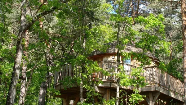 Cabane de Lily - Cabane perchée avec Spa près de Millau