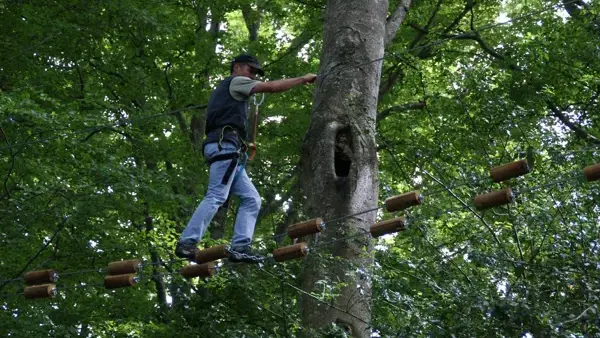 Grimpe et Cimes - Parcours Acrobatique