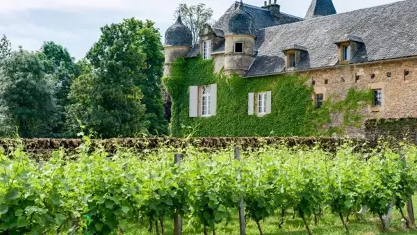 Le Château de Labro et sa Cabane Perchée