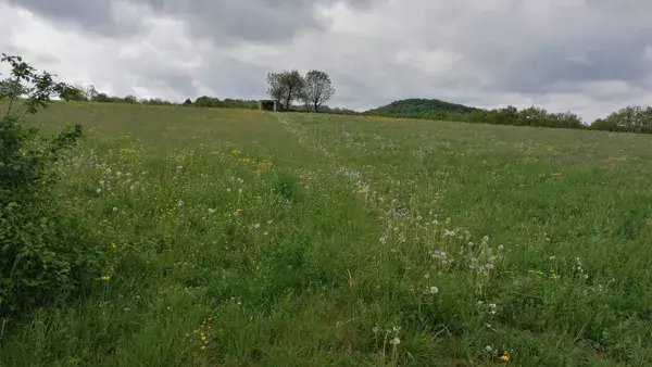 Trail d'Aqui - Bessuéjouls
