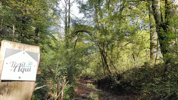 Trail d'Aqui - Bessuéjouls