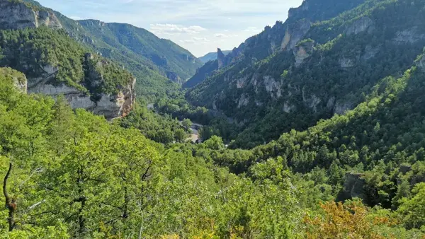 Randonnée du point sublime dans les gorges du Tarn
(Compter 45min-1h en voiture pour se rendre au départ de la randonnée - Celle-ci grimpe beaucoup, il faut être à l'aise mais en vaut le détour, retour en boucle en passant par un petit village troglodyte - Si vous souhaitez la faire, n'hésitez pas à me demander des infos, ça sera avec plaisir)