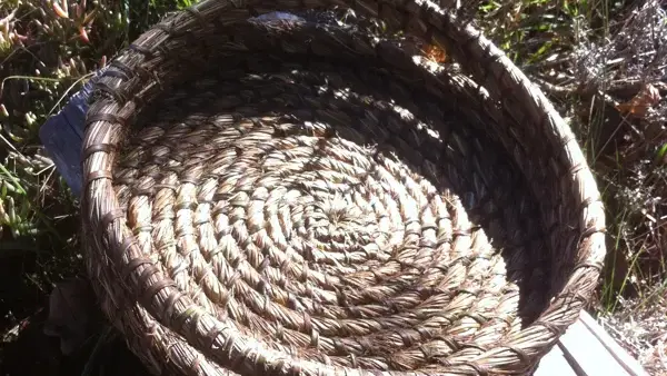 plateau, vannerie spiralée, paille (molinie) et ronce
