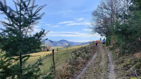 Trail d'Aqui - Espeyrac Parcours 7