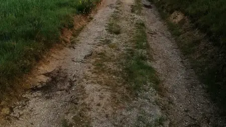Trail d'Aqui - Espeyrac Parcours 7