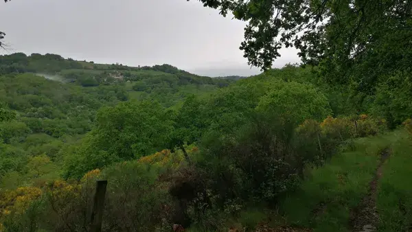 Trail d'Aqui - Espeyrac Parcours 7