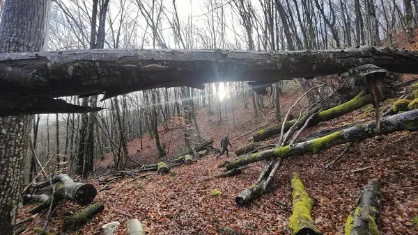 Trail d'Aqui Lassouts - Parcours 12