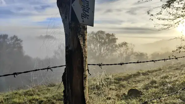 Trail d'Aqui Lassouts - Parcours 12