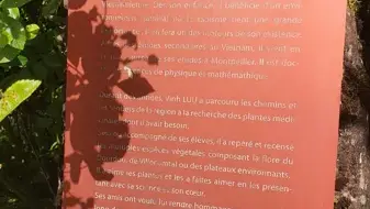 Jardin botanique Vinh Luu