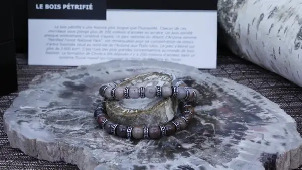 Bracelet en bois fossile naturel entretoise type viking et fermoir acier chirurgical