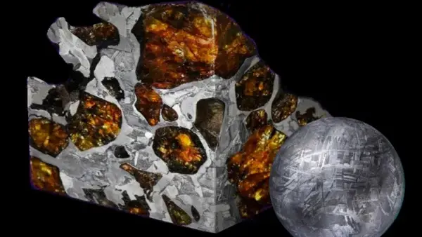 Météorite naturelle de Gibeon et pallasite