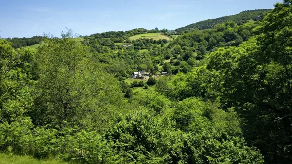Paysage extérieur