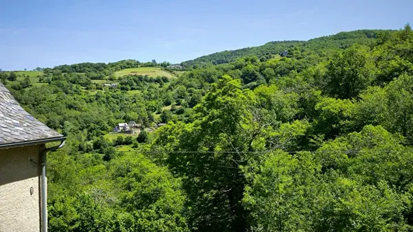 Paysage extérieur