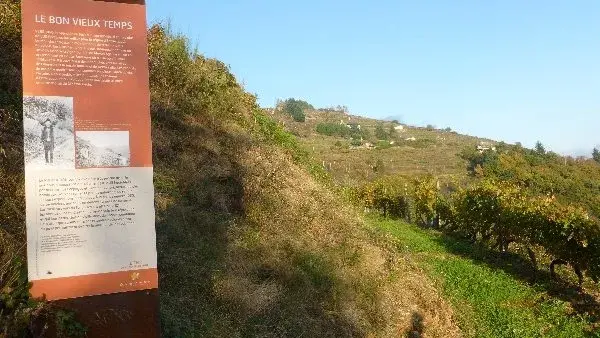 Circuit de découverte au Fel
