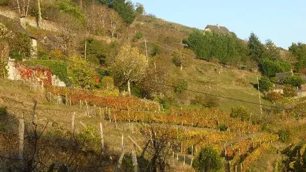 Circuit de découverte au Fel