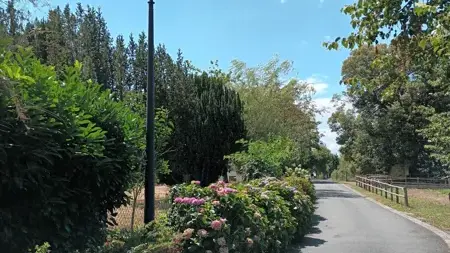 Circuit de découverte au Fel : un village, un vignoble