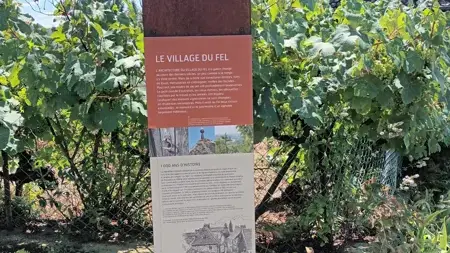 Circuit de découverte au Fel : un village, un vignoble