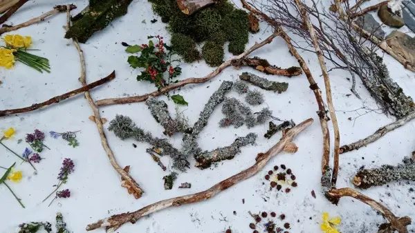 Besoin de Nature  - Balade artistico poétique